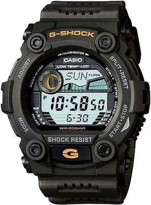 Часы Casio G-SHOCK Classic G-7900-3ER