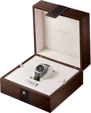 Часы Longines Pilot Majetek L2.838.4.53.2