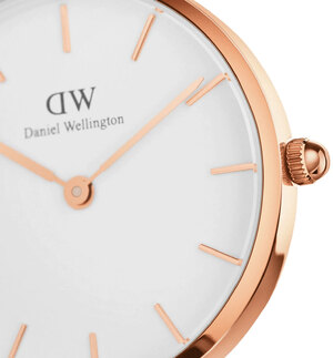 Часы Daniel Wellington Petite Dover DW00100313