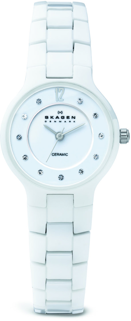

Часы SKAGEN 572SSXWC, 572SSXWC