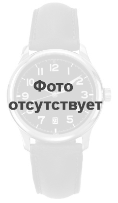 

Часы SKAGEN SKW6219, SKW6219