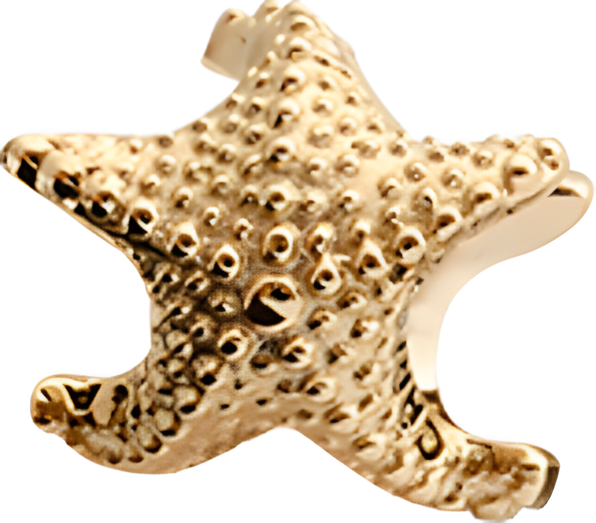 

Шарм CC - Starish 630-G41, Starish